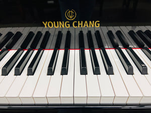 Young Chang Y-150 (4'11")