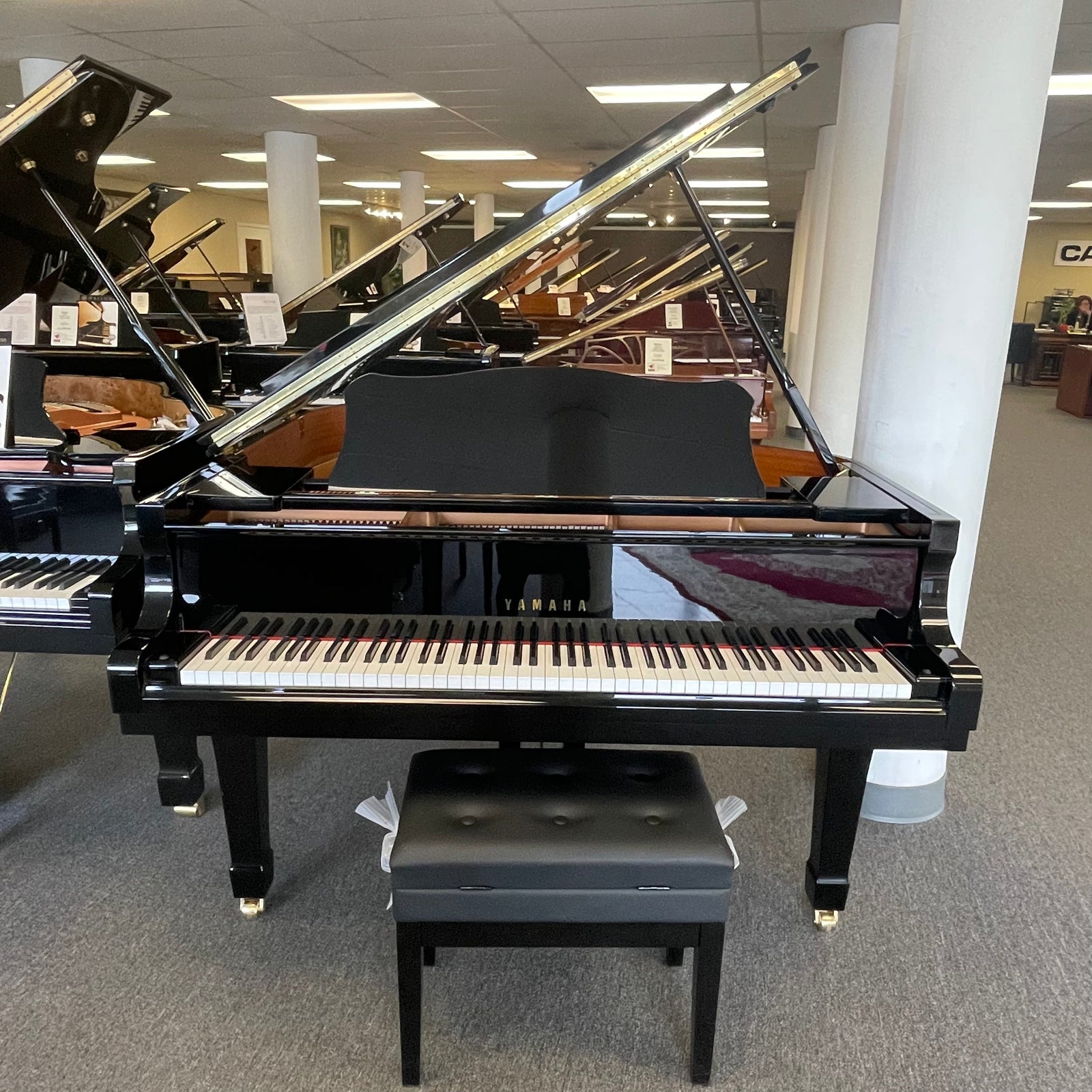 Yamaha Pianos