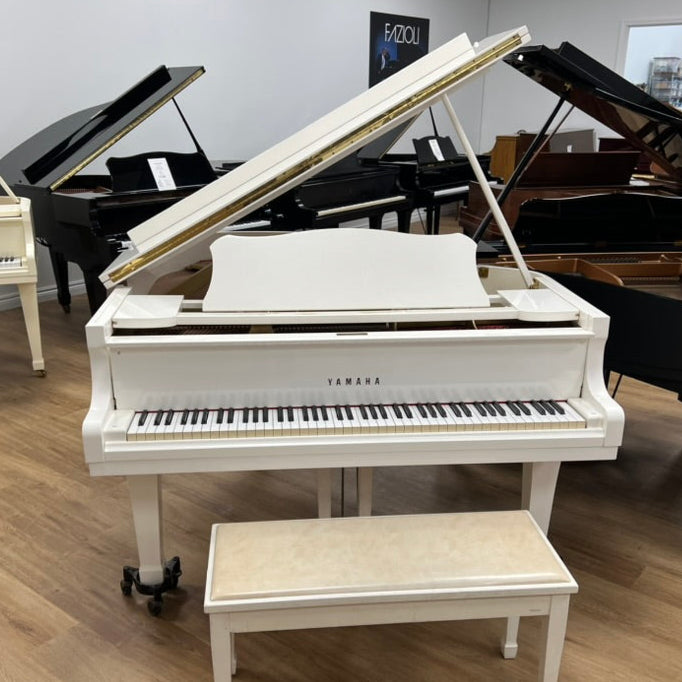Yamaha G2 (5'8") - 1984