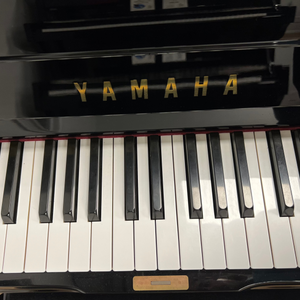 Yamaha U-1 (48")