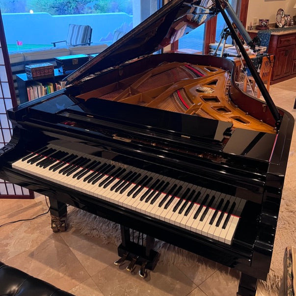 Petrof Monsoon (7'9") - 2004