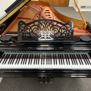 Bösendorfer 250 Liszt - 8'2" - 1906