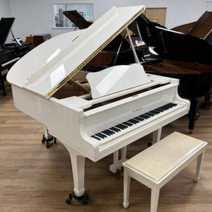 Yamaha G2 (5'8") - 1984