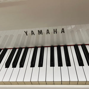 Yamaha G2 (5'8") - 1984