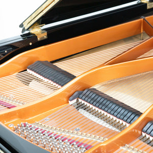 Bösendorfer 225 (1920) - 7'3"