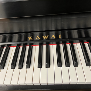 Kawai 506 N (42")