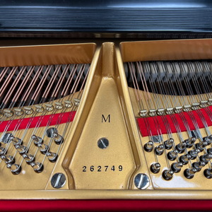 Steinway M (5'7") - 1928