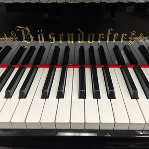 Bösendorfer 250 Liszt - 8'2" - 1906