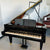 Bosendorfer 200 (6'7")