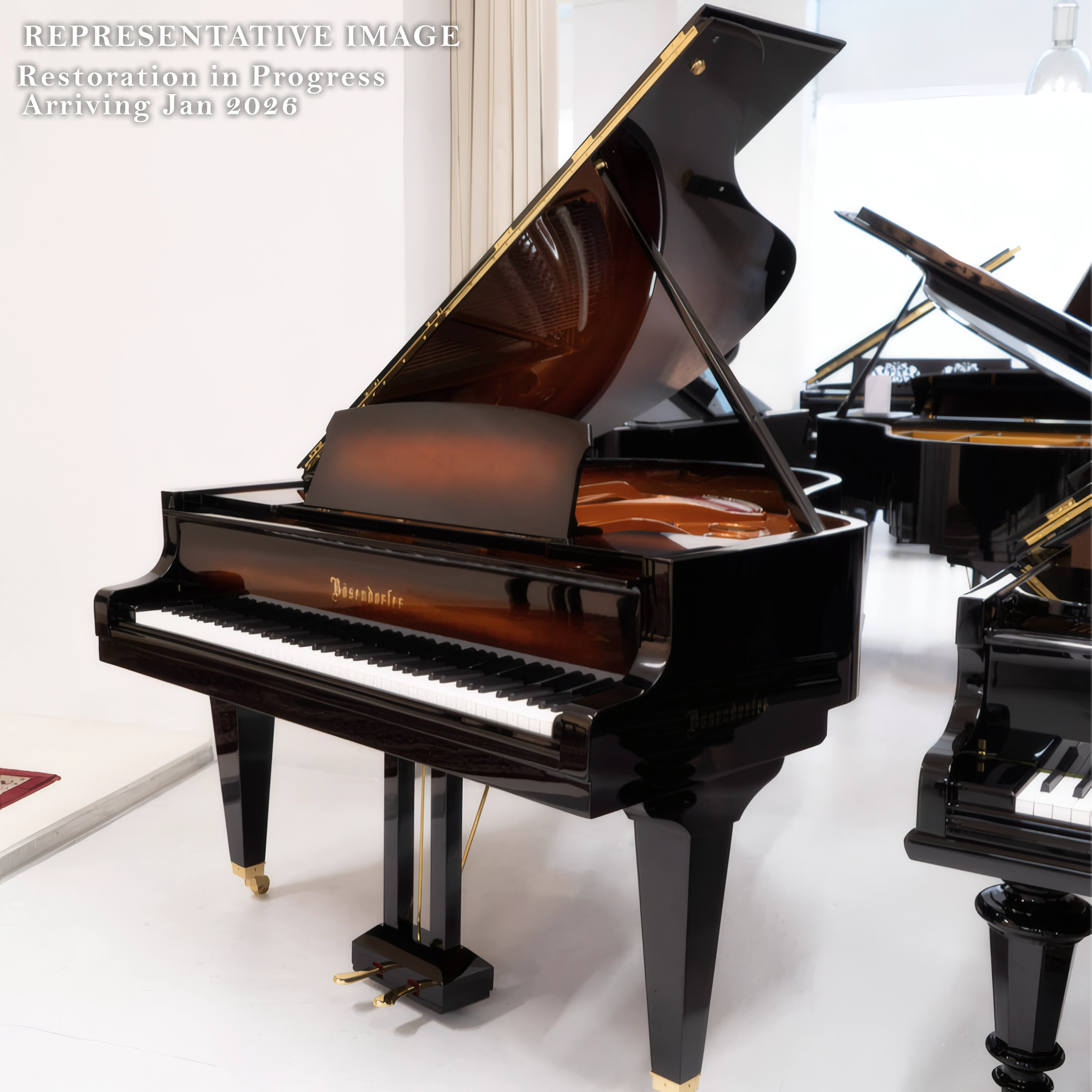 Bösendorfer 170 (5'7