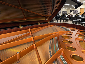 Bösendorfer 290 Imperial Concert Grand Piano (9'6") – Pre-Owned