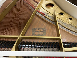 Yamaha G2 (5'8") - 1984