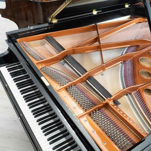 Bösendorfer 200 (6'5") - 1922 ONLINE INVENTORY Call for Availability