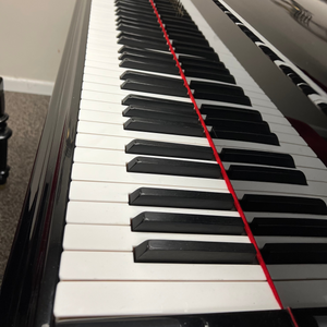 Bösendorfer 250 Liszt - 8'2" - 1906