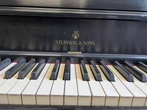 Steinway 100 (41")