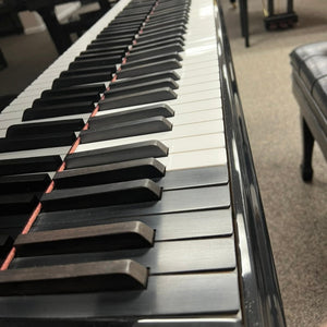 Bösendorfer 290 Imperial (9'6") - 1996