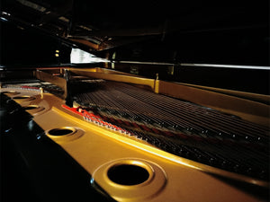 Kawai GS100 (9')