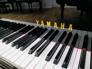 Yamaha CSII