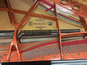 Wendl & Lung WL 152 5' Grand Piano in Black Polish | Serial #101370