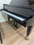Schimmel 8-Foot Grand Piano PE Model | Serial #288076