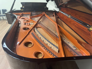 Schimmel 8-Foot Grand Piano PE Model | Serial #288076