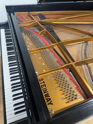 Steinway Model D Concert Grand Piano 9' Satin Ebony | Serial #539112