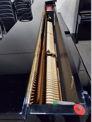Kawai NS-10 (48.8") 