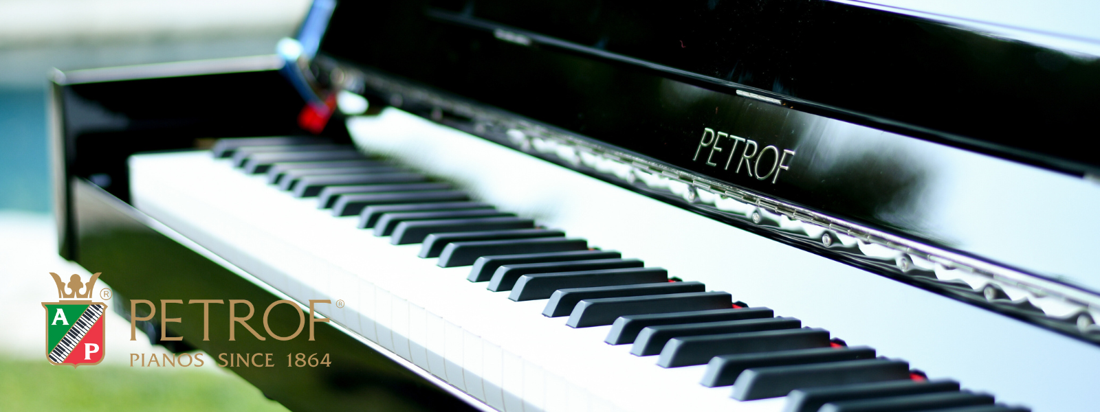 Michigan s Most Trusted Piano Store The Piano Place