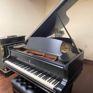 Restored 1888 Steinway Model A Grand Piano 6'2" - Ebony Satin