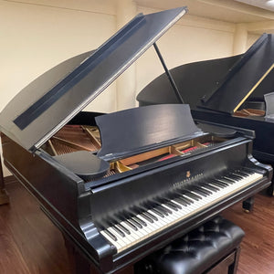 Restored 1888 Steinway Model A Grand Piano 6'2" - Ebony Satin