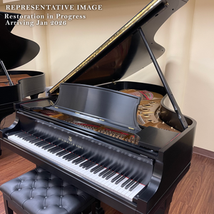 PRE-ORDER: Steinway & Sons Model B Semi-Concert Grand (6'11") – 2026 Restoration