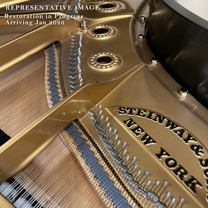 PRE-ORDER: Steinway & Sons Model B Semi-Concert Grand (6'11") – 2026 Restoration