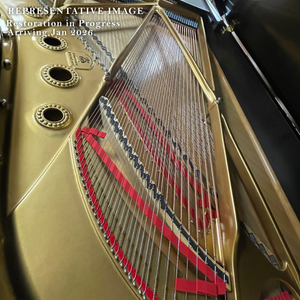 PRE-ORDER: Steinway & Sons Model B Semi-Concert Grand (6'11") – 2026 Restoration