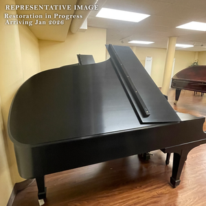 PRE-ORDER: Steinway & Sons Model B Semi-Concert Grand (6'11") – 2026 Restoration