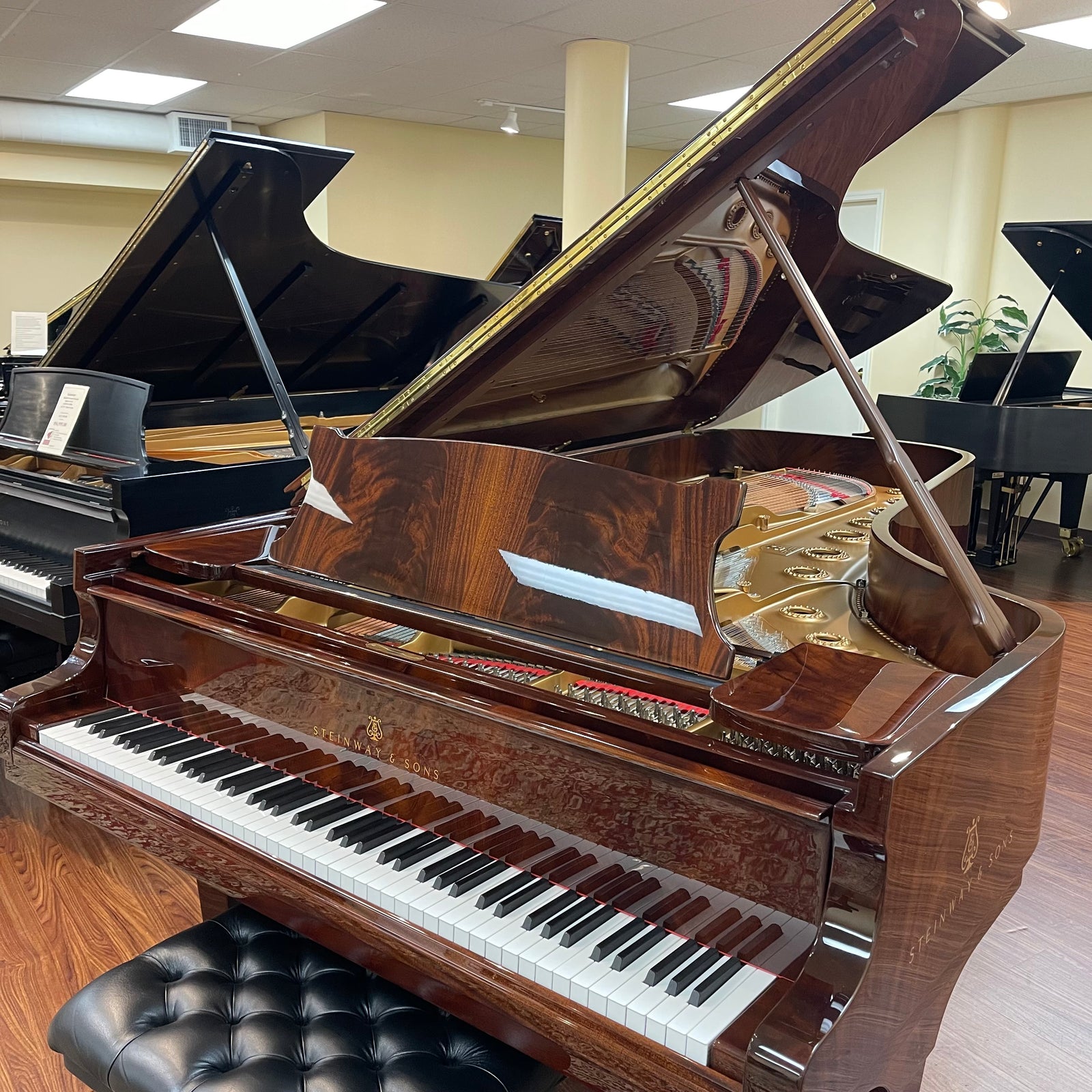 Restored 1880 Steinway Model D Concert Grand 9' - Pyramid Mahogany with QRS Player