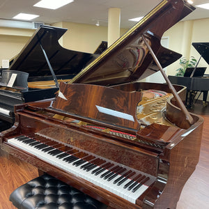 Restored 1880 Steinway Model D Concert Grand 9' - Pyramid Mahogany with QRS Player