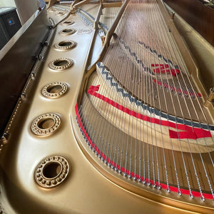Restored 1880 Steinway Model D Concert Grand 9' - Pyramid Mahogany with QRS Player