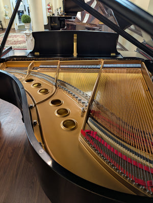 1999 Steinway Model M Grand Piano 5'7" with Player System - Ebony Satin