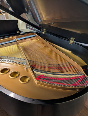 1999 Steinway Model M Grand Piano 5'7" with Player System - Ebony Satin