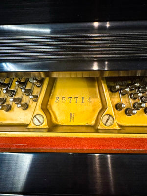 Steinway Model M Grand Piano 5'7" - Vintage Ebony Studio Grand