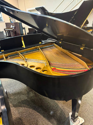 1980 Steinway Model M Parlor Grand Piano 5'7" - Pre-Owned