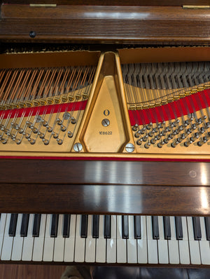 Restored 1914 Steinway Model O Grand Piano 5'11" - African Mahogany
