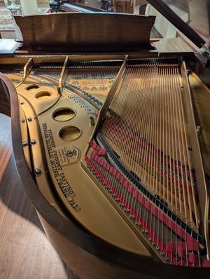 Restored 1914 Steinway Model O Grand Piano 5'11" - African Mahogany