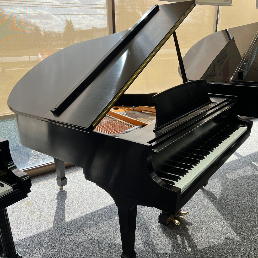 Michigan s Most Trusted Piano Store The Piano Place