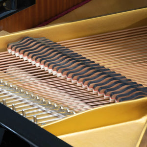 Gaveau Mignon Model 150 Grand Piano in Polished Ebony | ONLINE INVENTORY Call for Availability