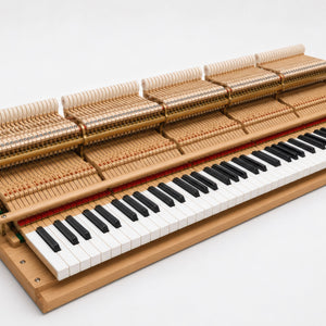 1983 Steinway Model C Semi-Concert Grand Piano in Polished Ebony | ONLINE INVENTORY Call for Availability