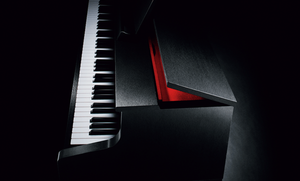 Piano Digital Casio Celviano Grand Hybrid GP-510 - Black Piano