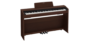 Casio clearance 870 privia