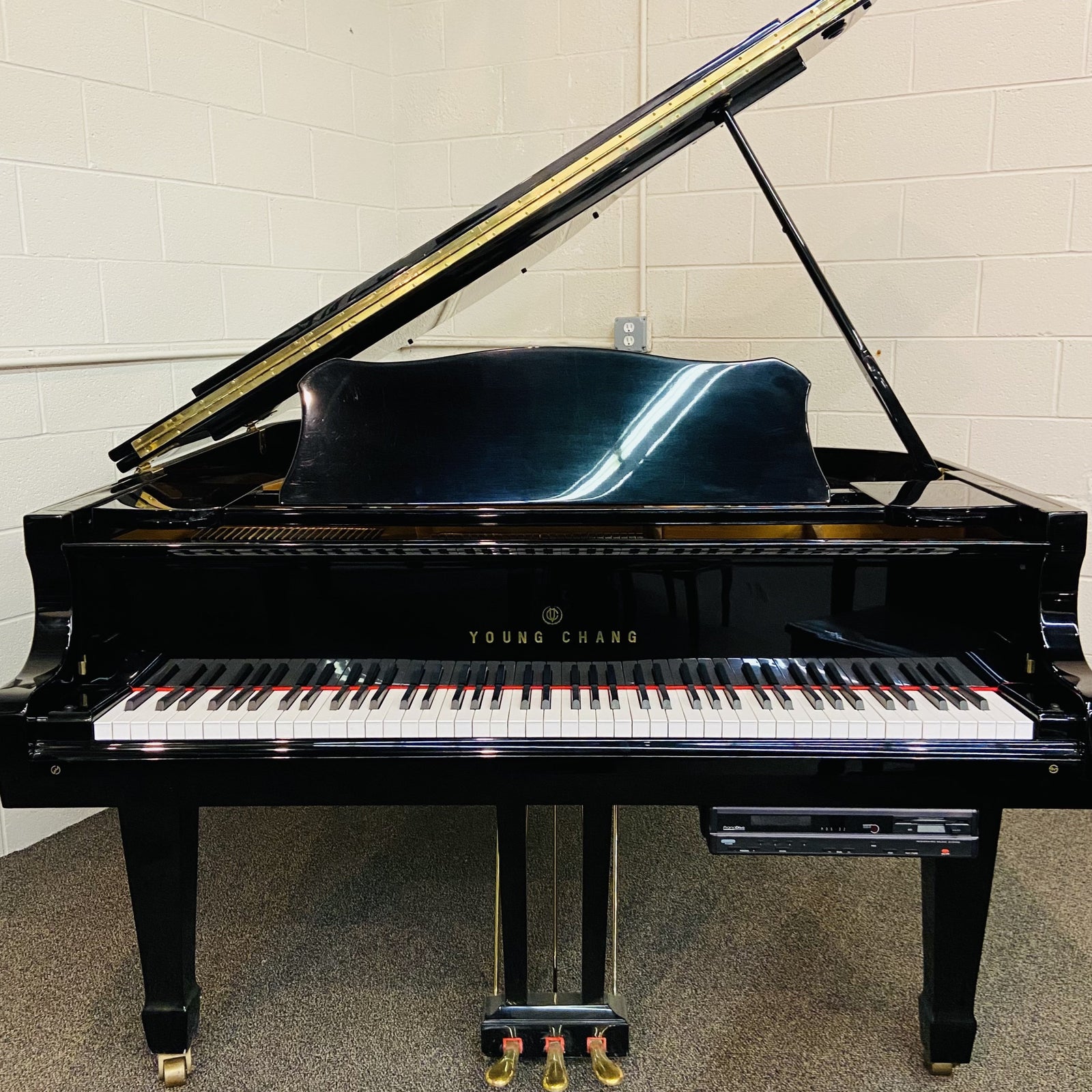 Young Chang 185 (6'1")