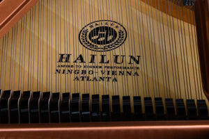 HAILUN HG178 (5'10")